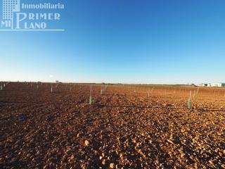 Terreny residencial a Tomelloso. Se venden 4,5 hectareas de tierra de secano con viña baja y alme