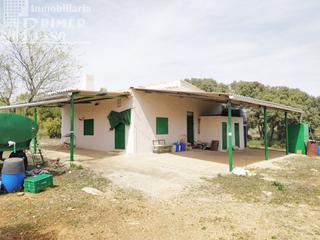 Masía en Socuéllamos. Se vende finca totalmente vallada de 12 hectareas