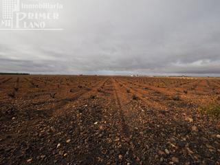 Terrain résidentiel à Tomelloso. Se vende 13,3 hectareas de viña airen todo declarado de agua con
