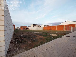 Residential Plot in Tomelloso. Solar en polígono 20, de 250 m2 y 9 metros de fachada por solo 5