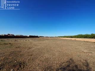Terreny residencial a Argamasilla de Alba. Se vende solar urbano en argamasilla de alba 8197 metros cuadrad