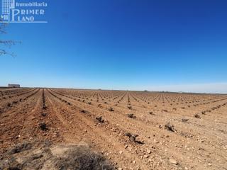 Residential Plot in Socuéllamos. Oferta!! 20 fanegas de viña en el paraje perdigon carretera socu