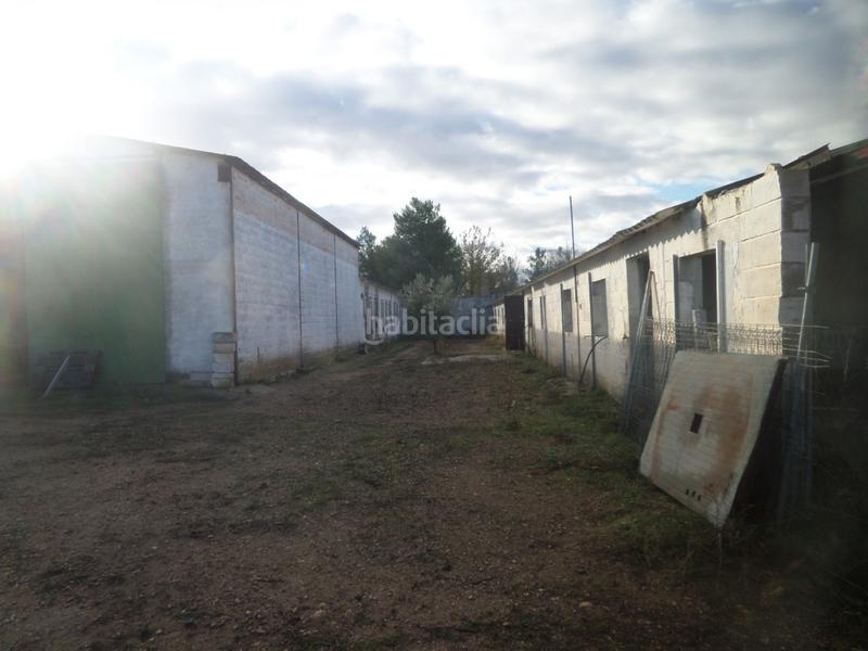 Foto 244fdc19-f9fa-4dbb-9bc7-82985955bc77. Fabrikhalle in Tomelloso