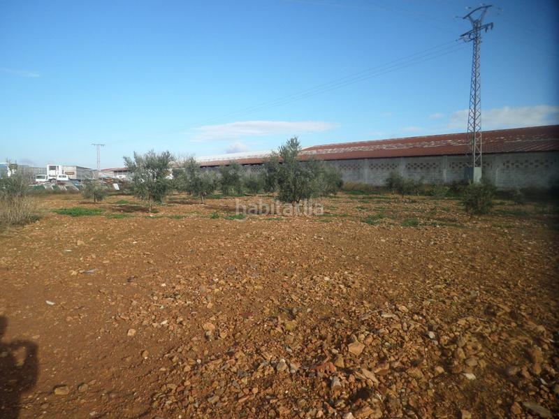 Foto 24b614b9-9b49-4357-9a20-9198eaa34c05. Fabrikhalle in Tomelloso