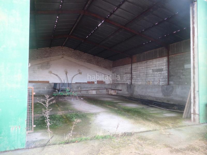 Foto 6a22f54d-9076-464c-8388-21eb1ada5ca4. Fabrikhalle in Tomelloso