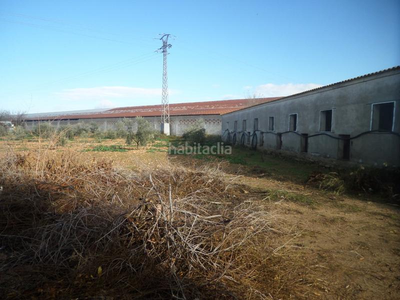 Foto 4060c272-3a0b-46aa-b9a4-da9a5e8cfcdf. Nau industrial a Tomelloso