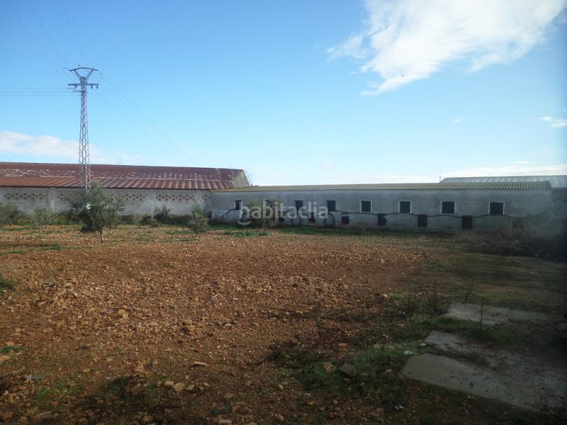 Foto 70620b35-3b3b-4908-acba-56513f1cfa44. Nau industrial a Tomelloso