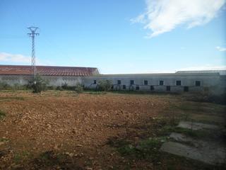 Nau industrial a Tomelloso