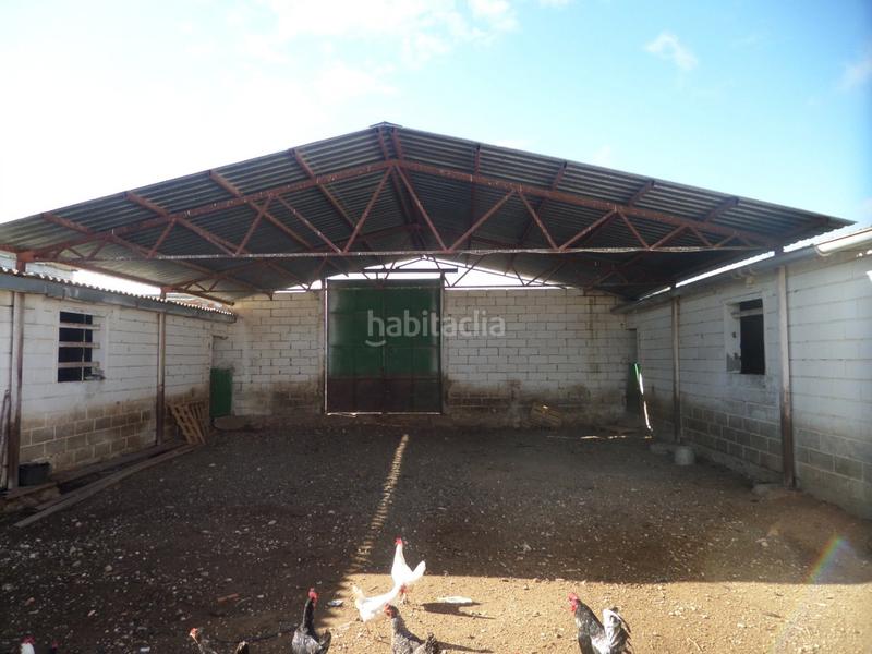 Foto 1d8a9147-0dab-47ea-8ea9-3e5b346f58d6. Fabrikhalle in Tomelloso