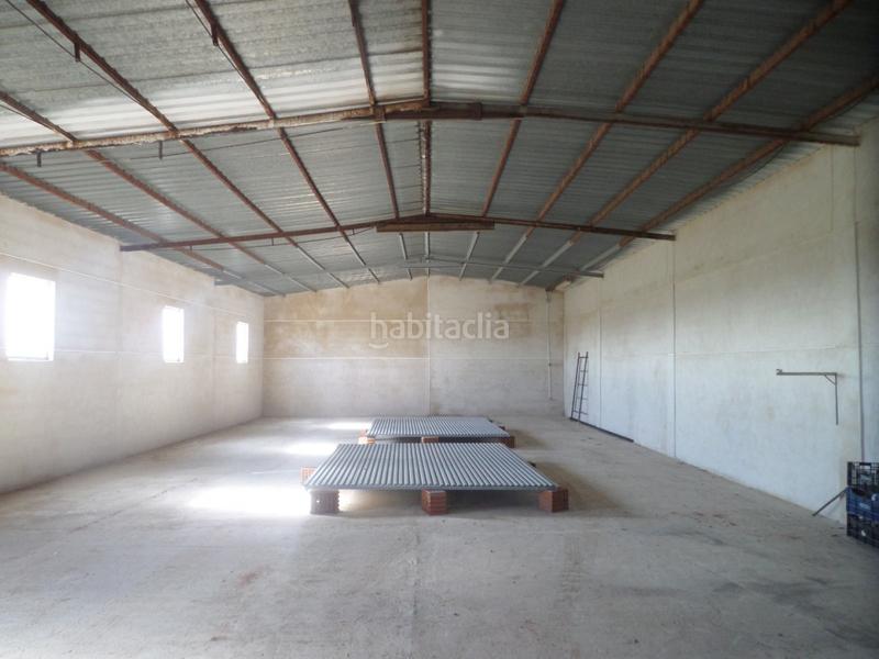 Foto cf720a4d-3e5c-476b-9ef2-071578ef5927. Fabrikhalle in Tomelloso