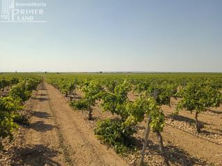 Residential Plot in Tomelloso. Se venden 4.8 hectareas de emparrado de regadio de variedad aire