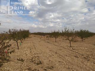 Terrain résidentiel à Tomelloso. Se vende finca de 12 hectareas de riego de pozo en la zona de sa