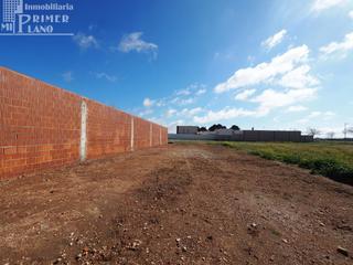 Residential Plot in Tomelloso. Solar de 386 metros cuadrados con 10.40 metros de fachada en el