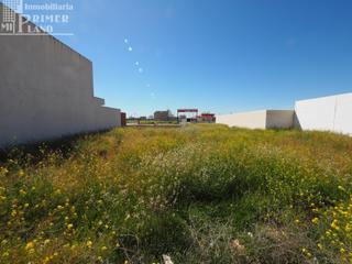 Terreno residencial en Tomelloso. Se vende solar en el poligono 20 tomelloso con 230 m2 y 12 metro