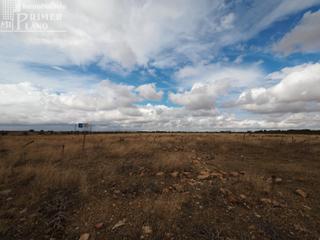 Terreno residencial en Tomelloso. Se vende parcela rustica de secano de 2 hectareas