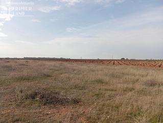 Terreno residencial en Socuéllamos. Parcela rústica de secano en socuéllamos  zona carretera tomello