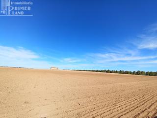 Terreno residencial en Argamasilla de Alba. Parcela de tierra de secano en argamasilla de alba
