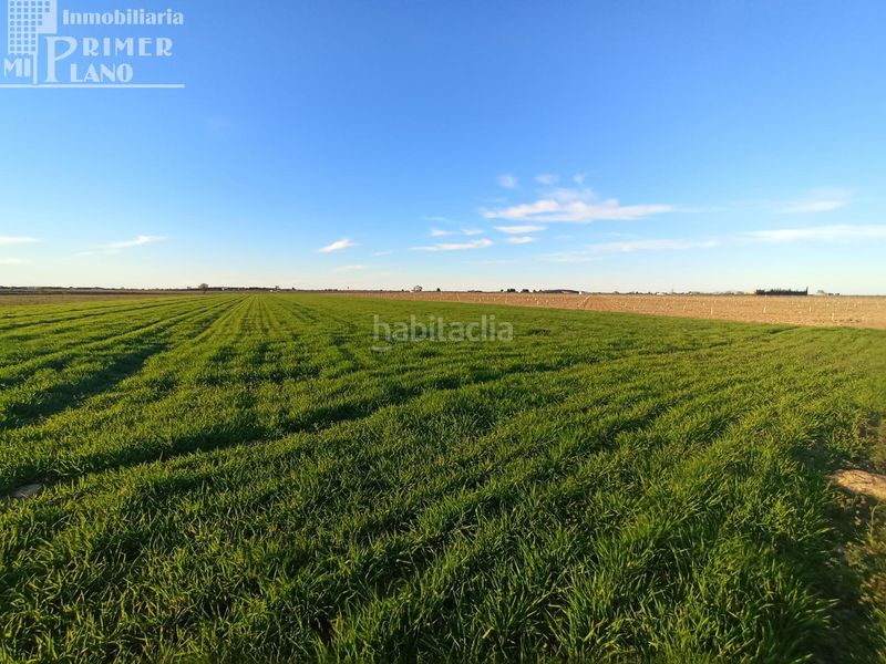 Foto f84fc84f-47c0-463c-a1e5-305d70d25bc4. Finca rústica a Tomelloso
