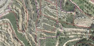 Finca rústica  Extramuros. Se vende lote de fincas en montón