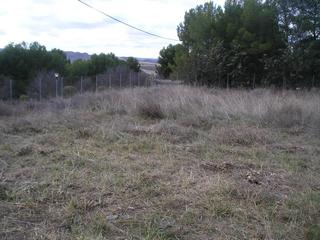 Terreny residencial a Barrio marivella 144. Finca urbana