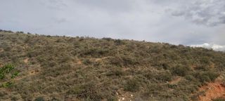 Rural plot  De ribota
