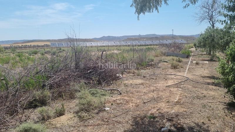 Foto 36125a15-03ea-47de-b6f6-419ab40b935f. Solar industrial terreno en venta , zaragoza en Muel