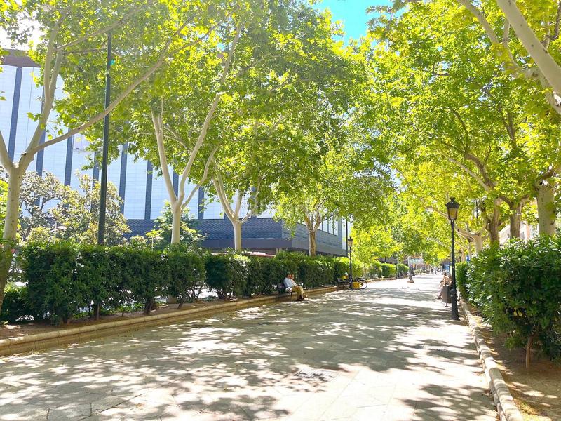 Foto c60ea5a9-dda9-4a29-bd85-b0dc5f332281. Location appartement avec chauffage dans Paseo Sagasta Zaragoza