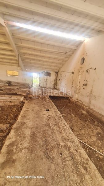 Foto 6a48bd65-5946-415b-848c-c87e27e5f872. Finca rústica a Tauste