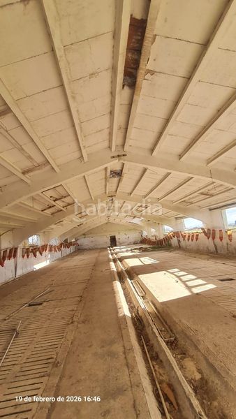 Foto f0124641-2aab-44b6-8322-a5e93829081a. Finca rústica a Tauste