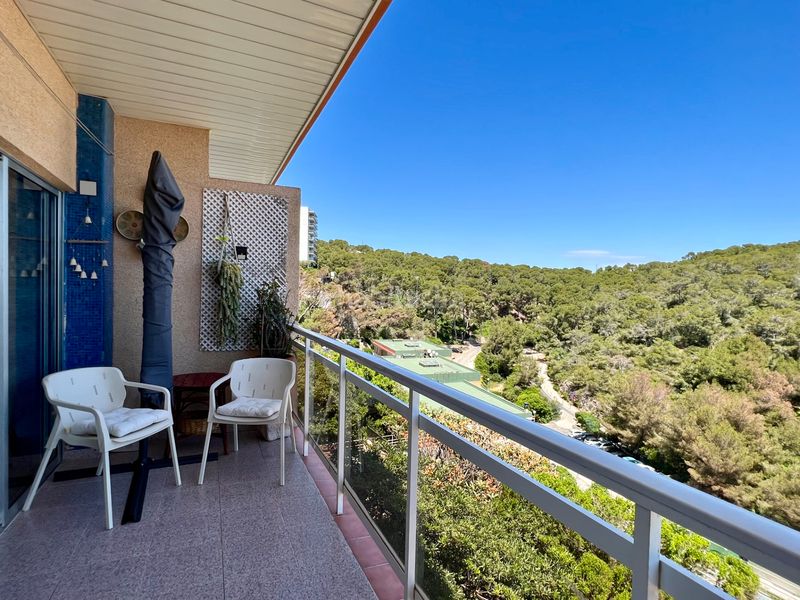 Foto 4b5862a1-762d-4e0e-8879-3e69338e9593. Apartament a pla de maset - cap de Salou Salou