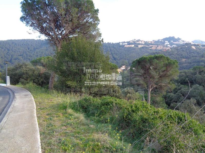 Foto ce3c8d86-37fe-4ea7-9883-b2e1a55c3156. Terreno residencial parcelas en es valls en Sa Riera-Sa Fontansa Begur