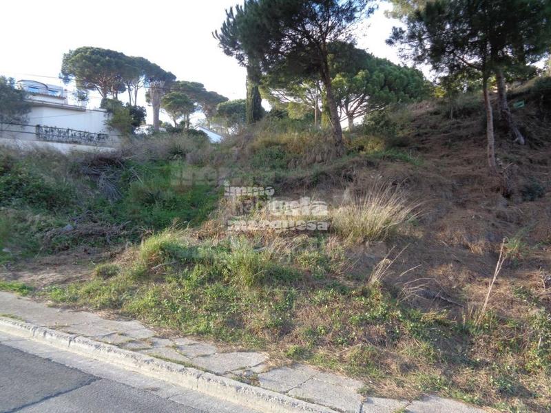 Foto e200b020-0bd9-4ef3-8880-6f73a974cfe2. Terreno residencial parcelas en es valls en Sa Riera-Sa Fontansa Begur