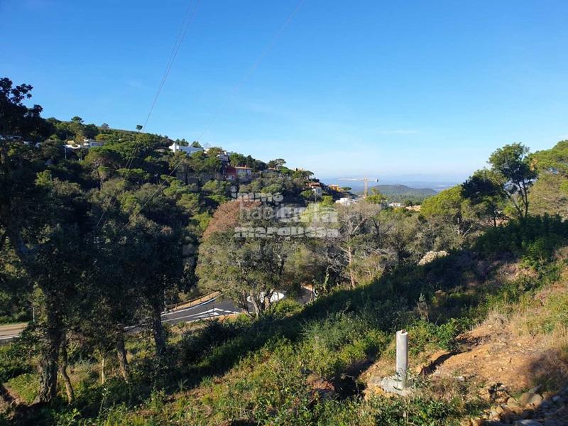 Foto 0ef19bcb-8bb1-496b-ba28-046b3c527b6b. Terrain résidentiel dans Begur Begur