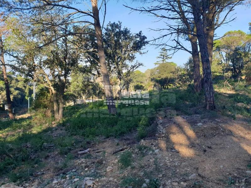 Foto 25ed4260-4b74-4269-88d0-f94a60dea5f1. Terrain résidentiel dans Begur Begur