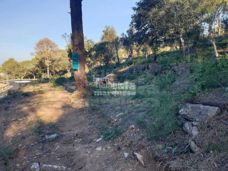 Foto 57411173-a2e2-42f4-83ac-7f1e939fd28c. Terrain résidentiel dans Begur Begur
