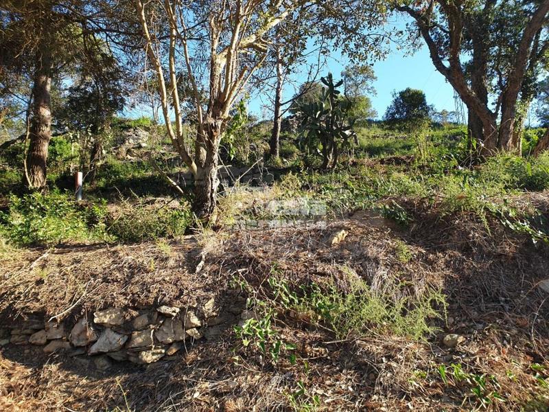 Foto 5b3e6a44-c77a-422b-831d-be6571674f70. Terrain résidentiel dans Begur Begur
