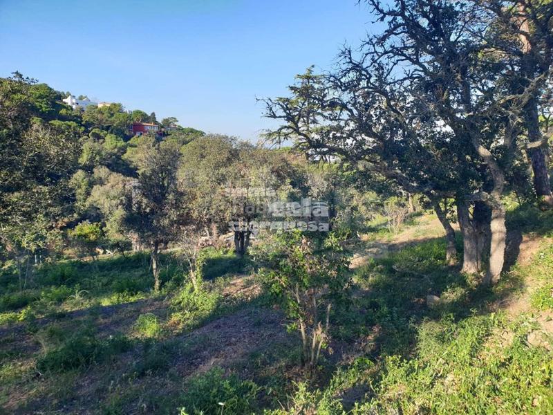 Foto d005ba13-278e-4a52-abb2-0153b6d392a3. Terrain résidentiel dans Begur Begur