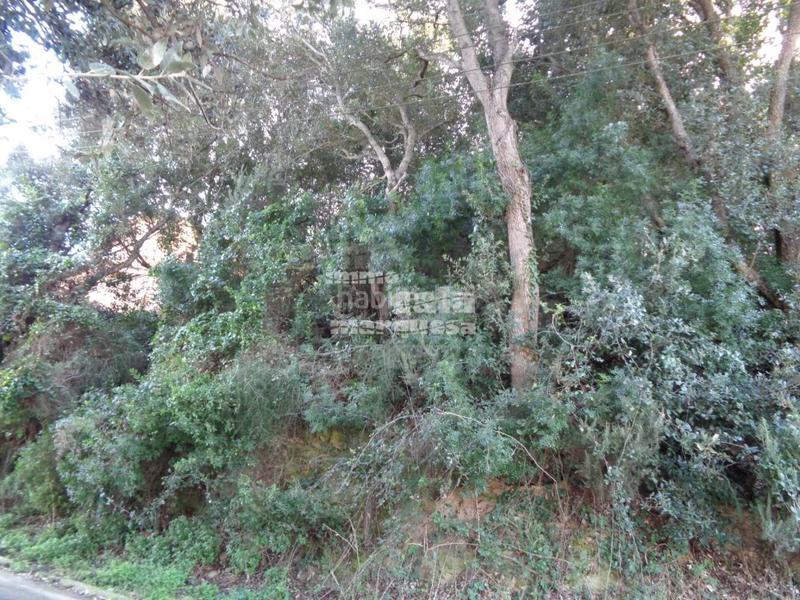 Foto 166e16aa-daf3-4849-801f-56e88e4a9422. Terreno residenziale in Sa Riera-Sa Fontansa Begur