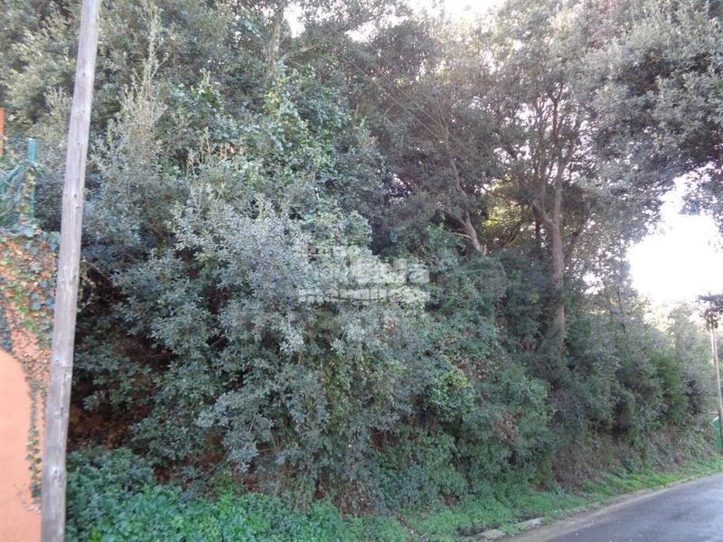 Foto 73ef9e80-21fb-4ffb-a0b1-eeb6955dc0f0. Terreno residenziale in Sa Riera-Sa Fontansa Begur