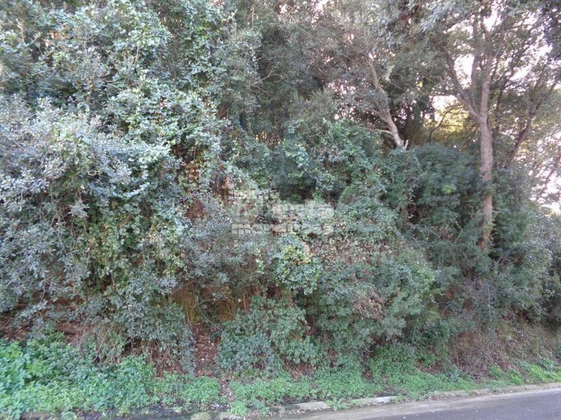 Foto 9dfd3a03-957e-48f2-a42d-f217d8cf7b10. Terreno residenziale in Sa Riera-Sa Fontansa Begur