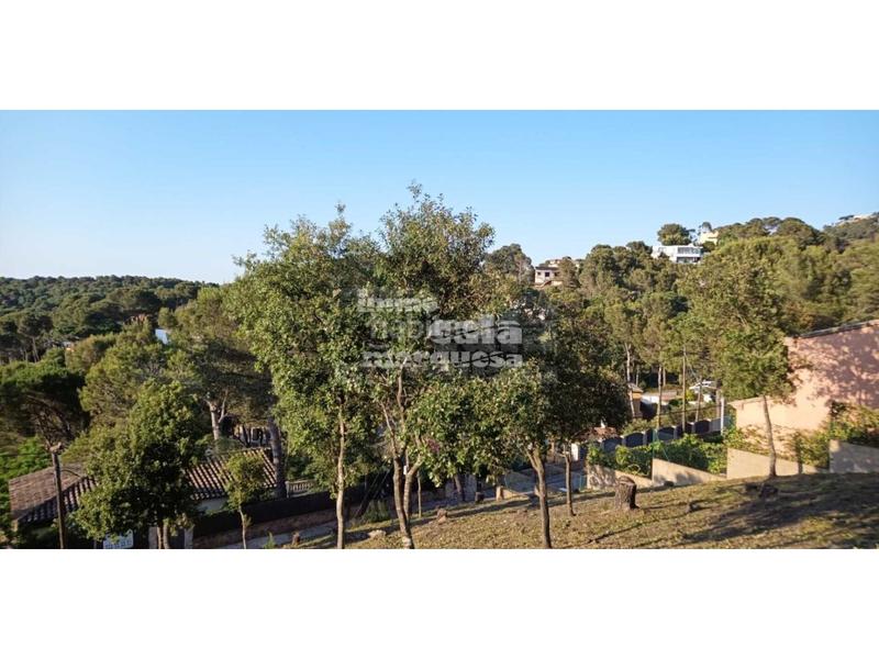 Foto 98744662-6ef2-4a7e-9c63-8a3ca761a87d. Terreny residencial a residencial Begur-esclanyà Begur