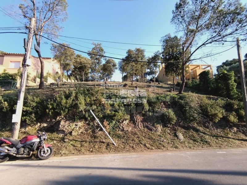 Foto e1f86dc7-d2d8-432a-9ee8-ad5bdc87b924. Terreny residencial a residencial Begur-esclanyà Begur