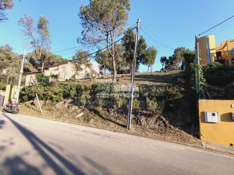 Foto fa7c3dca-036e-49b7-8fc9-b0a4d289b608. Terreny residencial a residencial Begur-esclanyà Begur