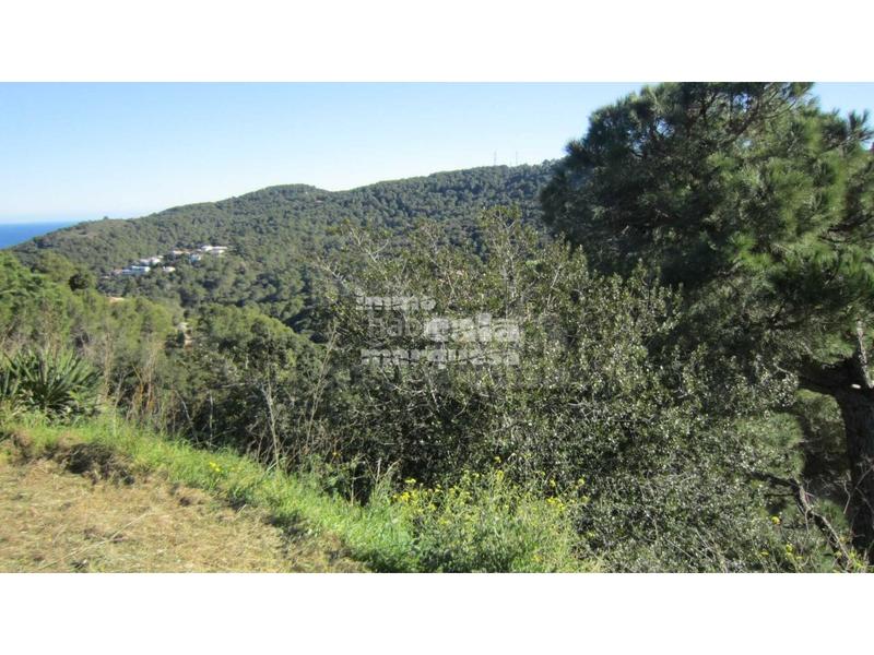 Foto 0e1d31bc-e8d1-4023-8191-fb4c2ee7f0b5. Residential plot in Sa Riera-Sa Fontansa Begur