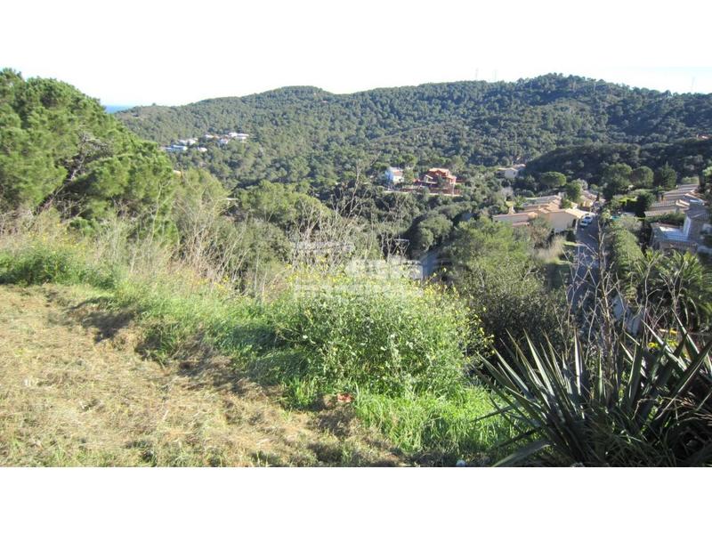 Foto 9258472c-4f96-4e9d-81b9-4dcea2633714. Residential plot in Sa Riera-Sa Fontansa Begur