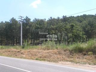 Terreny residencial a Fornells-Aiguablava. Terreno rustico en begur