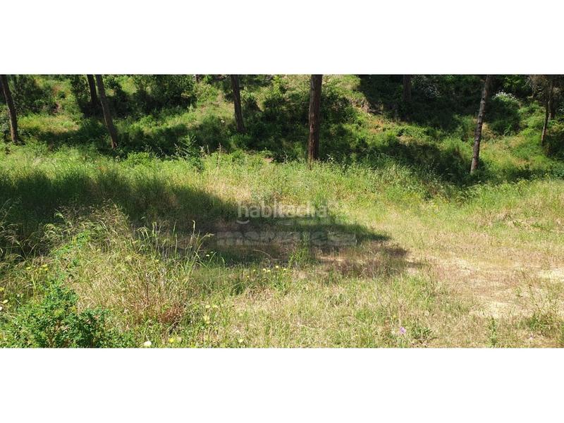 Foto db0dd7ab-a867-4f1a-b5e7-0306334ec0cb. Terreno residencial terreno en platja . en Pals