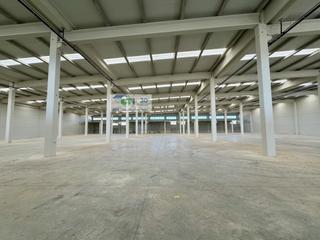 Rent Industrial building  C/ panam&#xc1;. Nave logxcdstica  industrial de 6.006 mxb2 para actividades ries