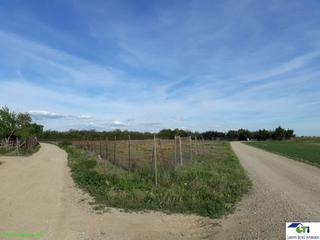 Finca rústica  N/a. Parcela en venta en el lugarico de cerdan