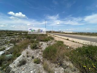 Terreny residencial  Calle del boro. 45.800m2 en ptr